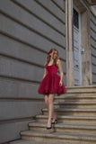 Modest Ball Gown Sweetheart Tulle Burgundy Formal Homecoming Dresses 8th Grad Dance Graduation Dress Short Hoco Dresses HZ1121
